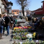 Pancalieri: domenica, fiera vivaistica con oltre 60 espositori