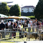 Pinerolo: Fiera Patronale di domenica, ma non ci saranno espositori in Piazza d'Armi.