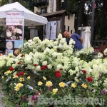 Flor Estate a Bardonecchia: terza edizione con piante, eccellenze agricole e artigianato