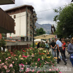 Flor: domenica 14 luglio fiera florovivaistica a Bardonecchia