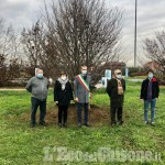 Vinovo: un albero in memoria dei morti di Coronavirus