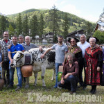 Romana batte Ronalda: eletta a Pragelato la 19ª Miss Mucca