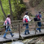 Pinasca: le prelibatezze del vallone di Grandubbione nell'itinerario personalizzato