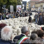 Luserna S.G.: Fiera dei Santi, ci siamo