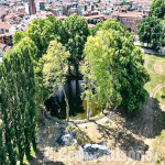Vinovo: ancora il “cancro colorato” ai platani
