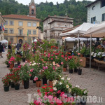 Cavour: nel week end torna la 21ª rassegna dedicata ai fiori e ai vivaisti