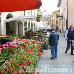 Vigone: due giorni di fiori e colori con Vigoflor