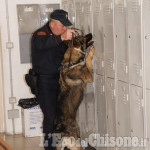 Pinerolo: controlli antidroga dei carabinieri nelle scuole superiori