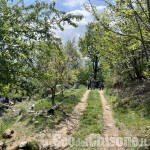 Sbalzato dal trattore, 74enne muore sulle colline di Abbadia