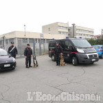 Orbassano: spacciava marijuana all&#039;Amaldi, arrestato 20enne di Rivalta