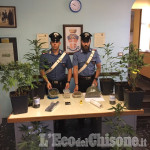 Villafranca: una serra in casa per coltivare la marijuana, due arrestati