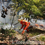 Piossasco: fiamme sul monte san Giorgio, rogo domato in un&#039;ora