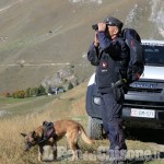 Bocconi avvelenati, maxi operazione dei carabinieri forestali anche in Valle Po