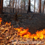 Emergenza incendi: le norme di comportamento suggerite dall&#039;ASL TO 3