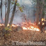 Emergenza incendi: «La Ministra Pinotti pronta a mobilitare l&#039;Esercito»