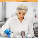 Nuova offerta di lavoro nel Pinerolese