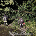Maltempo: a Bagnolo auto fuori strada e alberi caduti a causa del temporale