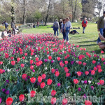 Pralormo: al Castello &quot;Messer Tulipano&quot; con centomila fiori