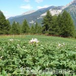 Gusta Pragelato presente i prodotti e i produttori del Parco Alpi Cozie