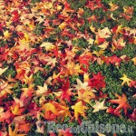 Settimana autunnale mite e con il ritorno del sole