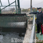 San Secondo: scivola nel canale, 59enne muore affogata in via Fossat