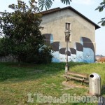 Verde urbano a Pinerolo: il quotidiano che ti sorprende