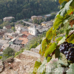 Da lunedì 30 maggio a sabato 4 giugno torna a Pomaretto la Settimana della Montagna