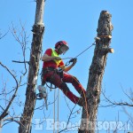 Villar Pellice: lo show dei tree climbers