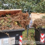 Pinerolo: cassonetti degli sfalci straripanti coprono la cartellonistica del turismo 