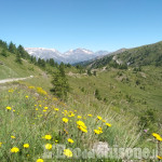 Colle delle Finestre e strada dell'Assietta: riaperture parziali dal fine settimana