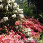 Fiera di primavera domenica 14 maggio a San Germano Chisone