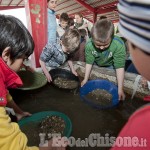 MineraLuserna: oggi e domani, in centro