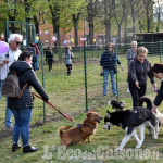 Pinerolo: finalmente un&#039; area sgambamento cani