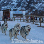 Europei di Sleddog: il Comune di Pragelato nega l'autorizzazione a due giorni dalla cerimonia di apertura