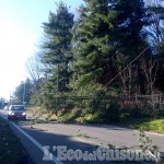 Bricherasio: alberi in strada abbattuti dal vento