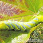 La foto vincitrice della settimana: tutti i colori dell&#039;autunno