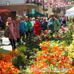Vigone: un weekend all’insegna del florovivaismo con Vigoflor