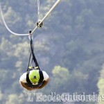 Pomaretto: la zipline &quot;Il Volo del Dahu&quot; apre al pubblico sabato 22 giugno