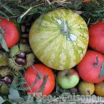 San Germano Chisone: Festa della zucca in borgata Turina