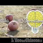 Embedded thumbnail for Scervelliamoci... Offline