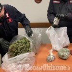 Embedded thumbnail for Cumiana: il video della marijuana sequestrata